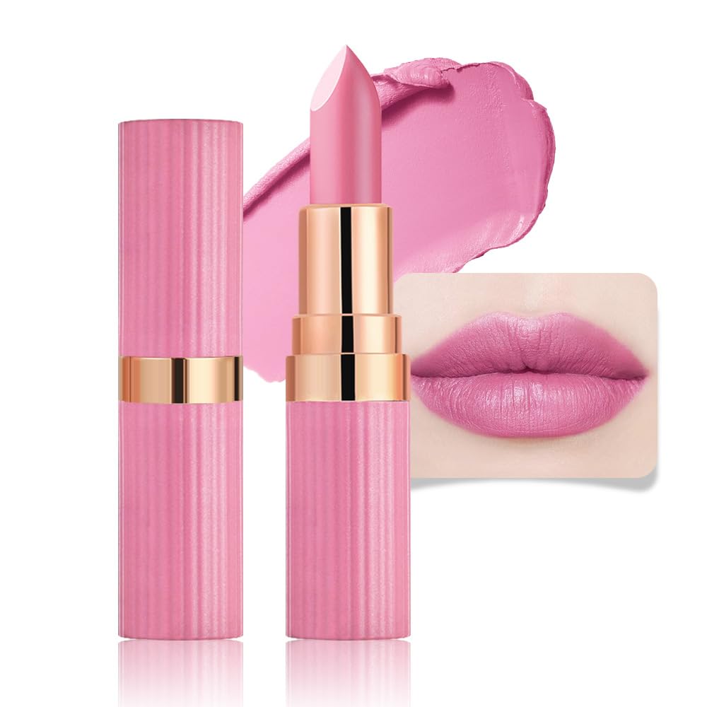 Nude Lipstick Matte Sets,Light to Dark Velvet Lipstick for Women Long Lasting Waterproof 24 Hours Lip Stick Lip Stain Makeup Gift Sets,labiales mate 24 horas originales
