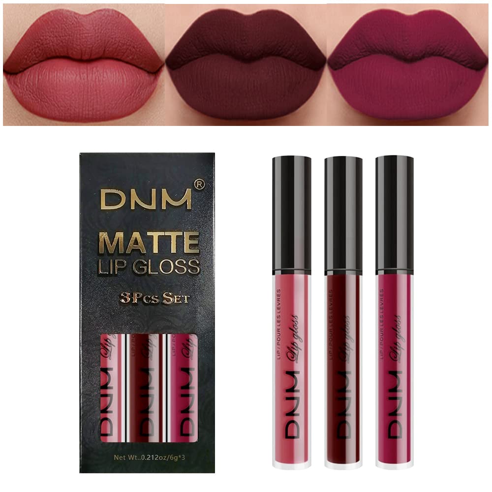 evpct DNM 3Pcs Dark Ruby Fire Red Matte Liquid Lipstick Lip Stain Lipgloss sets for Women 24 Hour Red Matte Lipstick Long Lasting Smudge Proof